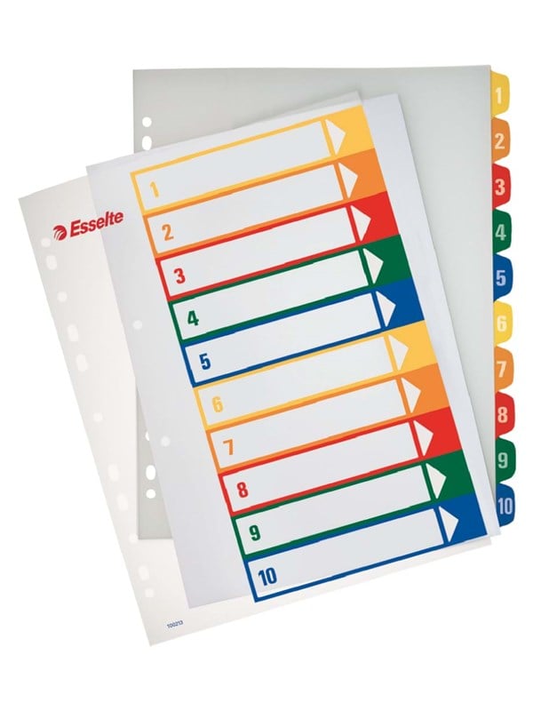 Esselte Register Projekt Pp A4 Printbar -10 Hv