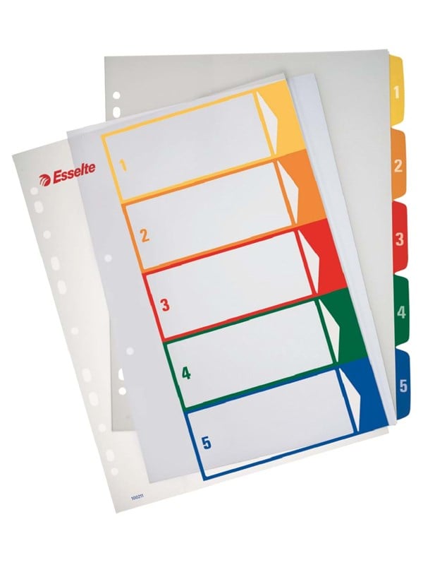 Esselte Register Projekt Pp A4 Printbar - Hvi